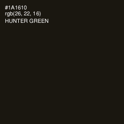 #1A1610 - Hunter Green Color Image